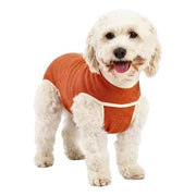 Body Protector para Mascotas Kimba – Talla 2